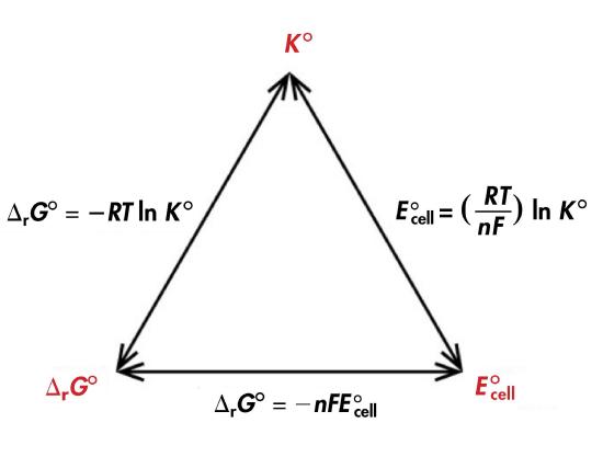 A diagram is shown that involves three double headed arrows positioned in the shape of an equilateral triangle. The vertices are labeled in red. The top vertex is labeled “K standard.“ The vertex at the lower left is labeled “delta G standard” The vertex at the lower right is labeled “E standard subscript cell.” The right side of the triangle is labeled “E superscript degree symbol subscript cell equals ( R T divided by n F ) l n K superscript degree symbol.” The lower side of the triangle is labeled “delta G superscript degree symbol equals negative n F E superscript degree symbol subscript cell.” The left side of the triangle is labeled “delta G superscript degree symbol equals negative R T l n K superscript degree symbol.” 
