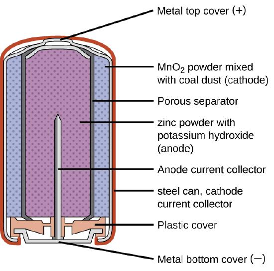 A diagram of a cross section of an alkaline battery is shown. The overall shape of the cell is cylindrical. The lateral surface of the cylinder, indicated as a thin red line, is labeled “Outer casing.” Just beneath this is a thin, light grey surface that covers the lateral surface and top of the battery. Inside is a blue region with many evenly spaced small darker dots, labeled “M n O subscript 2 (cathode).” A thin dark grey layer is just inside, which is labeled “Ion conducting separator.” A purple region with many evenly spaced small darker dots fills the center of the battery and is labeled “ zinc (anode).” The very top of the battery has a thin grey curved surface over the central purple region. The curved surface above is labeled “Positive connection (plus).” At the base of the battery, an orange structure, labeled “Protective cap,” is located beneath the purple and blue central regions. This structure holds a grey structure that looks like a nail with its head at the bottom and pointed end extending upward into the center of the battery. This nail-like structure is labeled “Current pick up.” At the very bottom of the battery is a thin grey surface that is held by the protective cap. This surface is labeled “Negative terminal (negative).”  