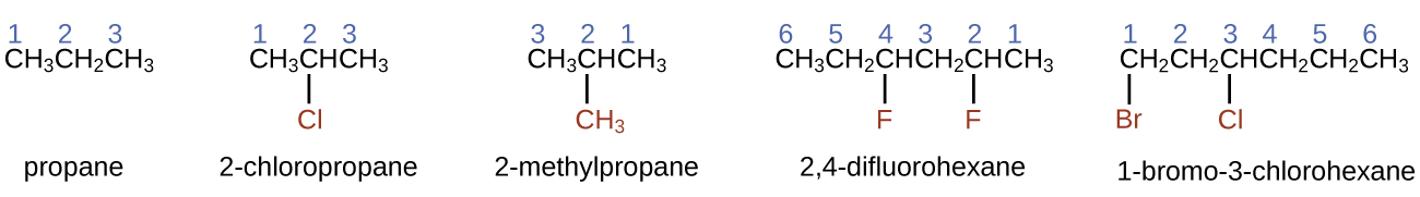 Esta figura muestra fórmulas estructurales para propano, 2 guiones de cloropropano, 2 guiones de metilpropano, 2 comas, 4 guiones de difluorohexano y 1 guión de bromo y 3 guiones de clorohexano. En cada una de las estructuras, los átomos de carbono están en fila con átomos de halógeno unidos y un grupo metilo unido por debajo de las figuras. El propano aparece como simplemente C H subíndice 3 C H subíndice 2 C H subíndice 3, con los números 1, 2 y 3 apareciendo por encima de los átomos de carbono de izquierda a derecha. El cloropropano de 2 guiones muestra de manera similar el subíndice C H 3 C H subíndice 3, con los números 1, 2 y 3 apareciendo por encima de los átomos de carbono de izquierda a derecha. Un átomo de C1 está unido por debajo del carbono 2. El átomo de C1 es rojo. El metilpropano de 2 guiones muestra de manera similar el subíndice C H 3 C H subíndice 3, con los números 3, 2 y 1 apareciendo por encima de los átomos de carbono de izquierda a derecha. Un grupo C H subíndice 3 está unido por debajo del carbono 2 y es rojo. 2 coma 4 guiones difluorohexano muestra de manera similar C H subíndice 3 C H subíndice 2 C H subíndice 2 C H C H subíndice 3, con los números 6, 5, 4, 3, 2 y 1 apareciendo por encima de los átomos de carbono de izquierda a derecha. Los átomos F están unidos a los carbonos 4 y 2 en la parte inferior de la estructura y son rojos. 1 guión bromo guión 3 guión clorohexano muestra de manera similar C H subíndice 2 C H subíndice 2 C H subíndice 2 C H subíndice 2 C H subíndice 3, con números 1, 2, 3, 4, 5 y 6 apareciendo por encima de los átomos de carbono de izquierda a derecha. B r está unido por debajo del carbono 1 y C l está unido por debajo del carbono 3. Tanto B r como C l son de color rojo.