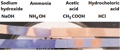 Blue and red litmus strips shown with sodium hydroxide, ammonia, acetic acid, and hydrochloric acid applied to them.