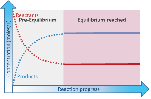 Se ilustran los cambios de concentración durante las fases de preequilibrio y equilibrio de una reacción de equilibrio.