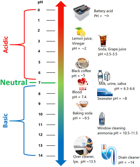 Se muestra el pH de algunas sustancias domésticas comunes junto con la escala de pH