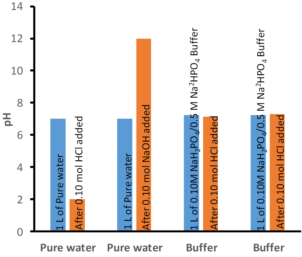 1 L of pure water at 7 pH drops to 2 pH after 0.10 mol of HCl is added and rises to 12 pH after 0.10 mol of NaOH is added. 1 L of Na2HPO4/NaH2PO4 buffer at pH 7.21 is unaffected by the addition of 0.10 mol of HCl and is also unaffected by the addition of 0.10 mol of NaOH.