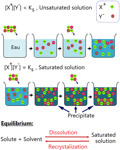 Ilustración de la solución insaturada y saturada y el equilibrio dinámico entre disolución y recristalización en la solución saturada