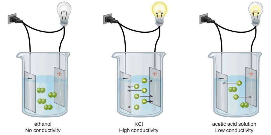 Ethanol has no conductivity. Potassium chloride has high conductivity and makes the bulb glow bright. An acetic acid solution has low conductivity and makes the bulb glow faintly.