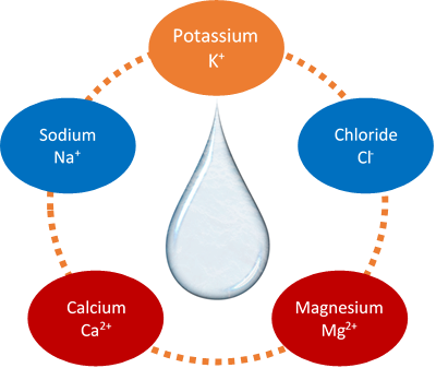 Potassium, Chloride, Magnesium, Calcium, and Sodium.