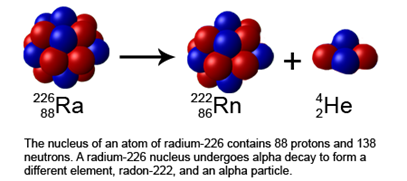 The nucleus of an atom of radium-226 contains 88 protons and 138 neutrons. A radium-226 nucleus undergoes alpha decay to form a different element, radon-222, and an alpha particle.