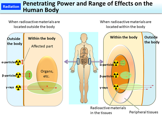 Poder de penetración de la radiación y rango de efectos en el cuerpo humano