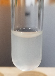Un precipitado gris-verde de hidróxido de cromo (III)