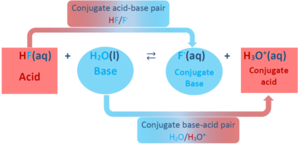 Ilustración de un ácido, una base, un ácido conjugado y una base conjugada con la ayuda de la disociación de HF en agua