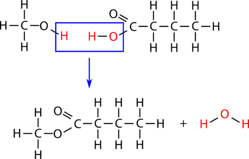 Estructura de una reacción de esterificación