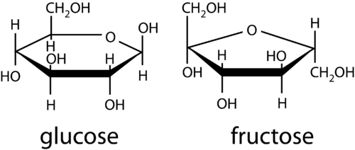 Forma cíclica de monosacáridos glucosa y fructosa