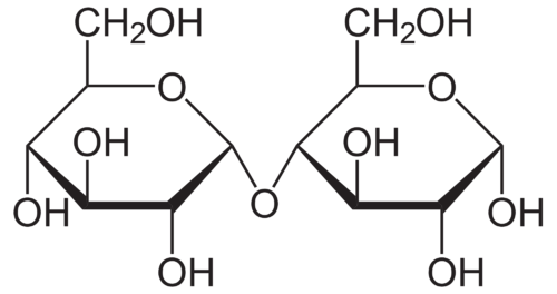 Structure of the disaccharide maltose