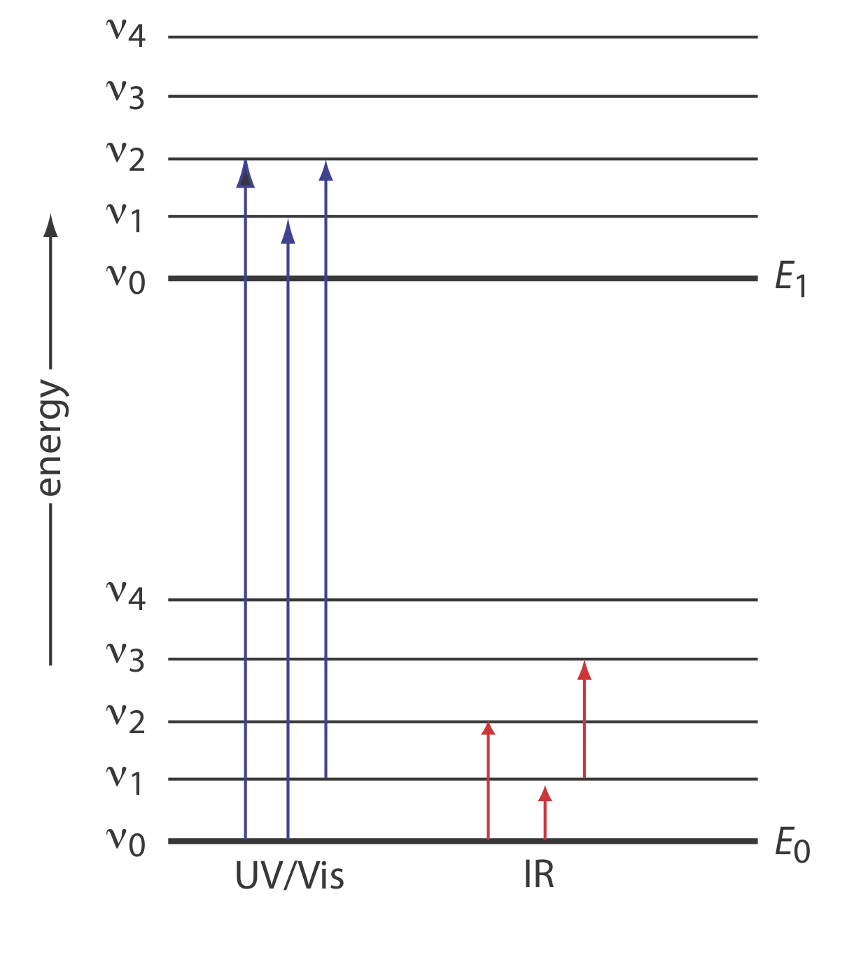 Diagrama que muestra dos niveles de energía electrónica, cada uno con cinco niveles de energía vibratoria.
