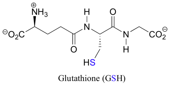 Wedge-dash structure of glutathione (GSH)