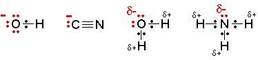 nucleophiles.GIF