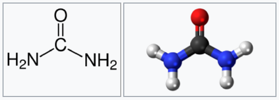 Bond line structure and atom structure of urea. 