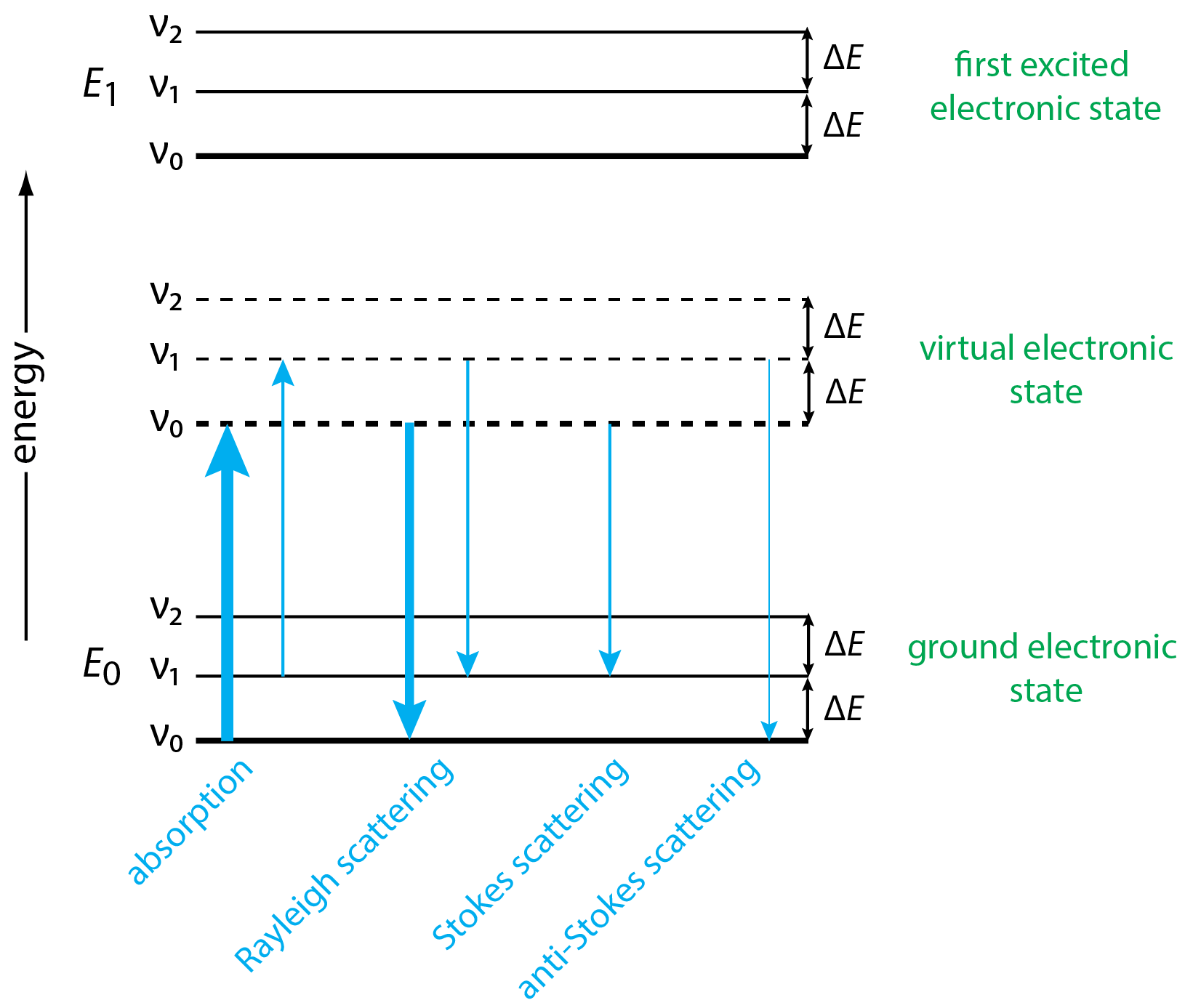 Energy level diagram that shows the origin of Rayleigh, Stokes, and anti-Stokes scattering.