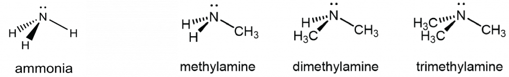 Four lewis structures are shown of ammonia, methylamine, dimethylamine, and trimethylamine. In each structure, the nitrogen atom has a single lone pair.