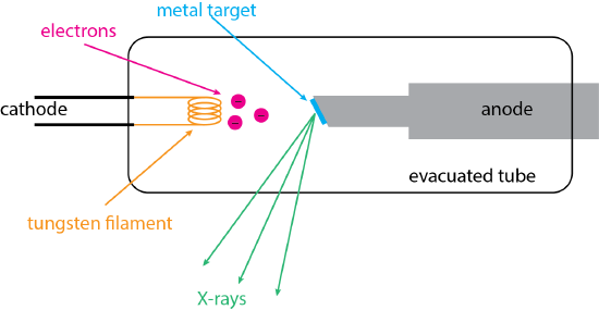 Schematic diagram showing the key parts of an X-ray tube.