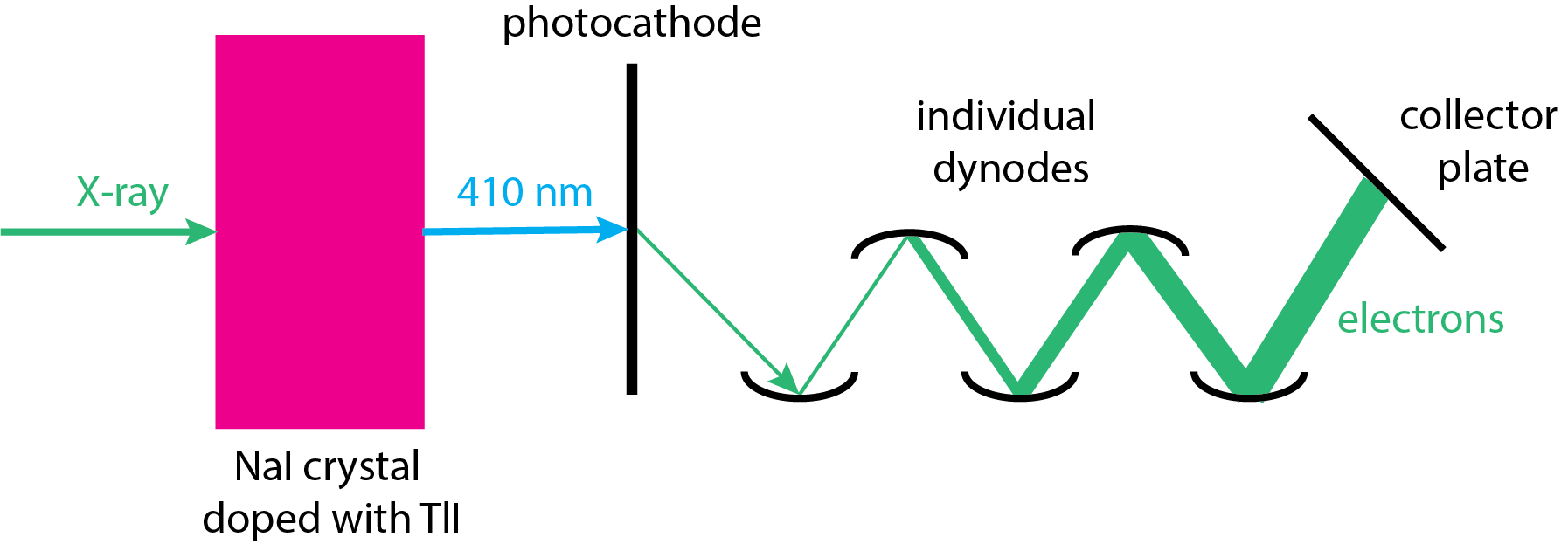 Schematic diagram of a scintillation counter.