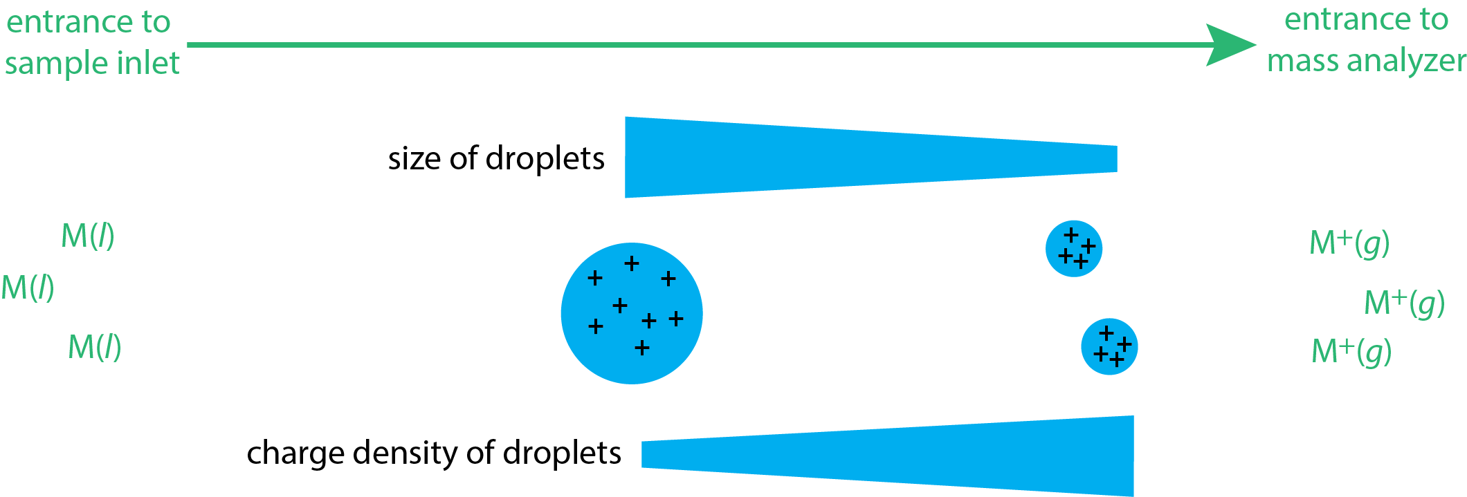 Illustration showing the change in the size of droplets and the charge density of droplets during electrospray ionization.