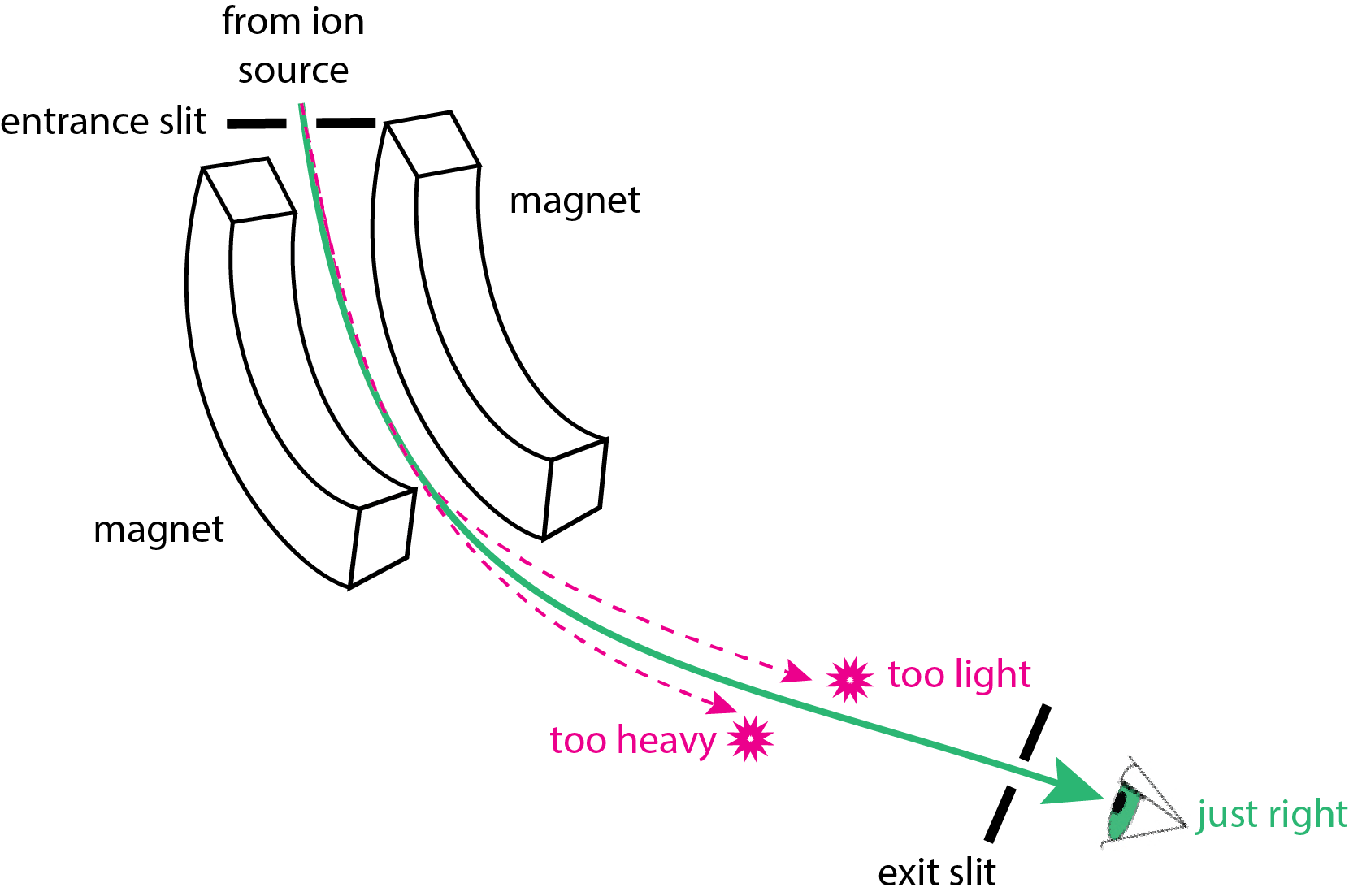 Ilustración de un analizador de sector magnético para espectrometría de masas. Los iones de la fuente de iones entran en el analizador de masas. Los imanes en el analizador de masas doblan la trayectoria seguida por los iones. Para cualquier combinación de intensidad de campo magnético y voltaje de aceleración, solo los iones con una relación masa-carga compatible pueden salir del analizador de masas a través de la ranura de salida; los iones que son demasiado pesados o demasiado ligeros, no logran salir del analizador de masas.