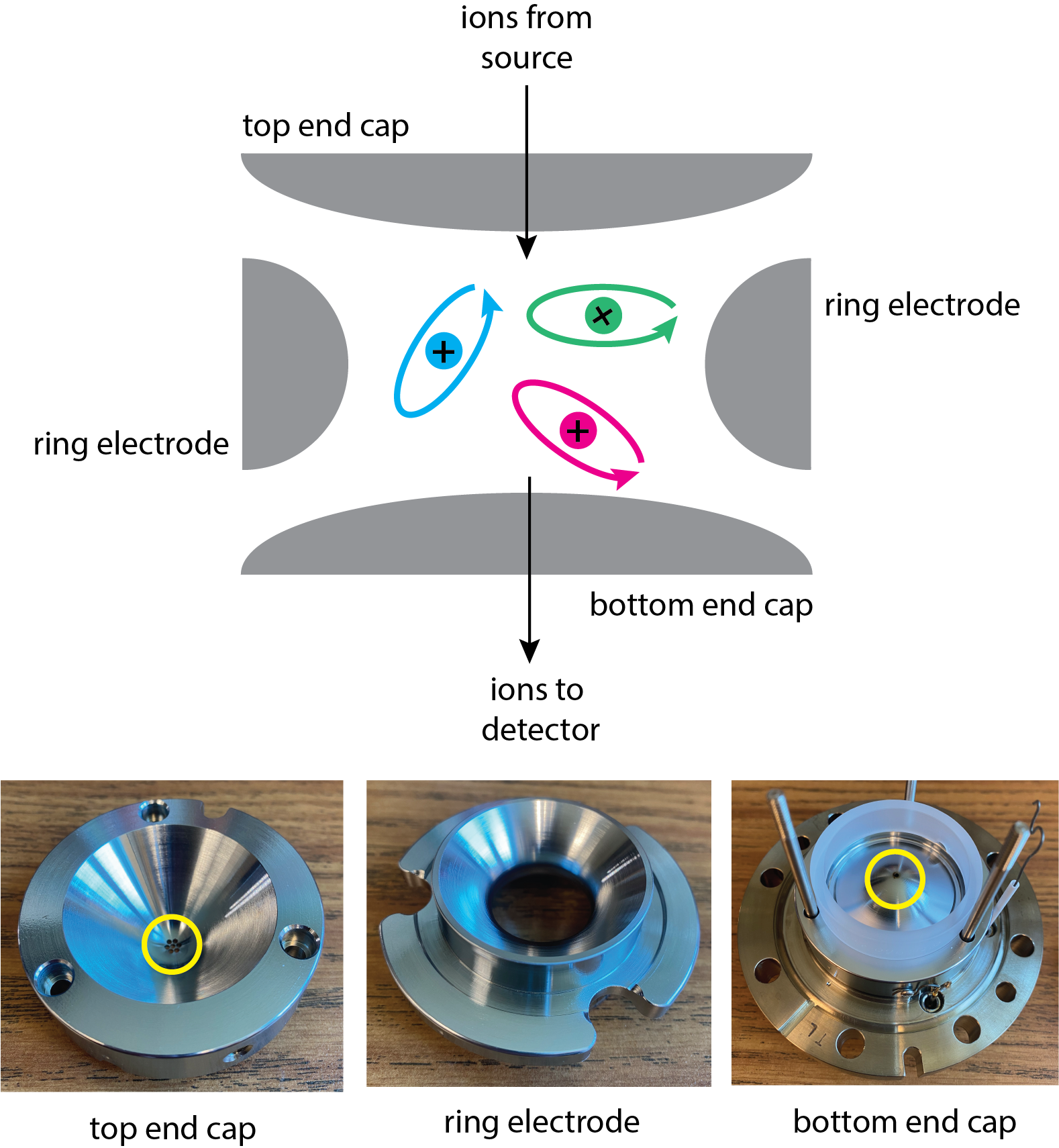 Ilustración del analizador de masa de trampa de iones que muestra la cavidad definida por la tapa de extremo superior, el electrodo de anillo y la tapa de extremo inferior.
