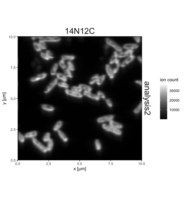 Imagen creada usando el paquete R lans2r. La imagen muestra el análisis de una porción de 10 µm por 10 µm de una superficie para el ion 14N12C, los dos isótopos principales de carbono y nitrógeno. Las áreas brillantes tienen mayores recuentos de iones totales.