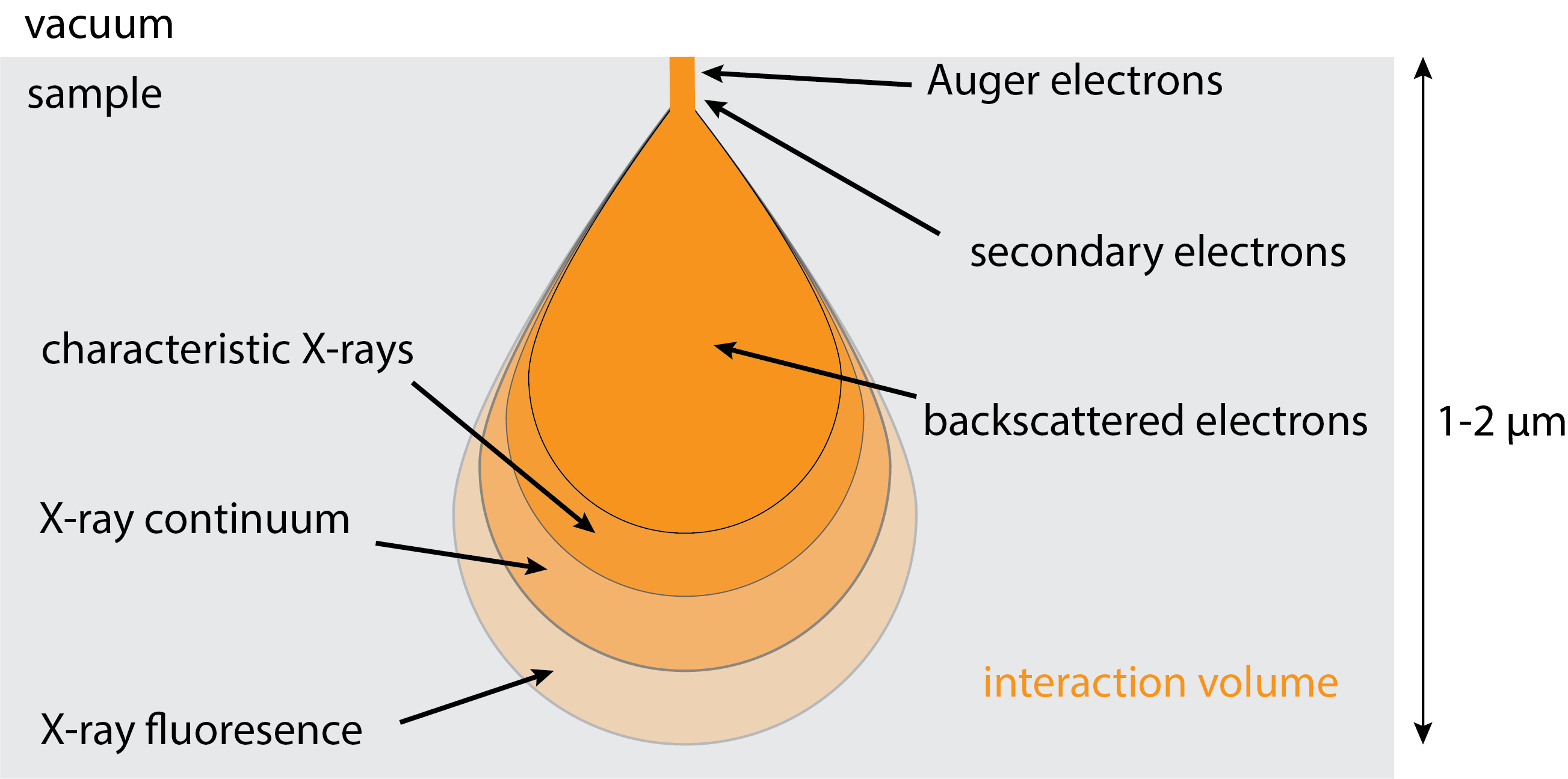 Ilustración que muestra los tipos de emisión que resultan de la interacción de un haz de electrones con una muestra. El haz de electrones penetra a una profundidad de aproximadamente 1-2 µm, con el volumen de interacción aumentando con la profundidad. Los rayos X se emiten desde más profundo en la muestra que los electrones.