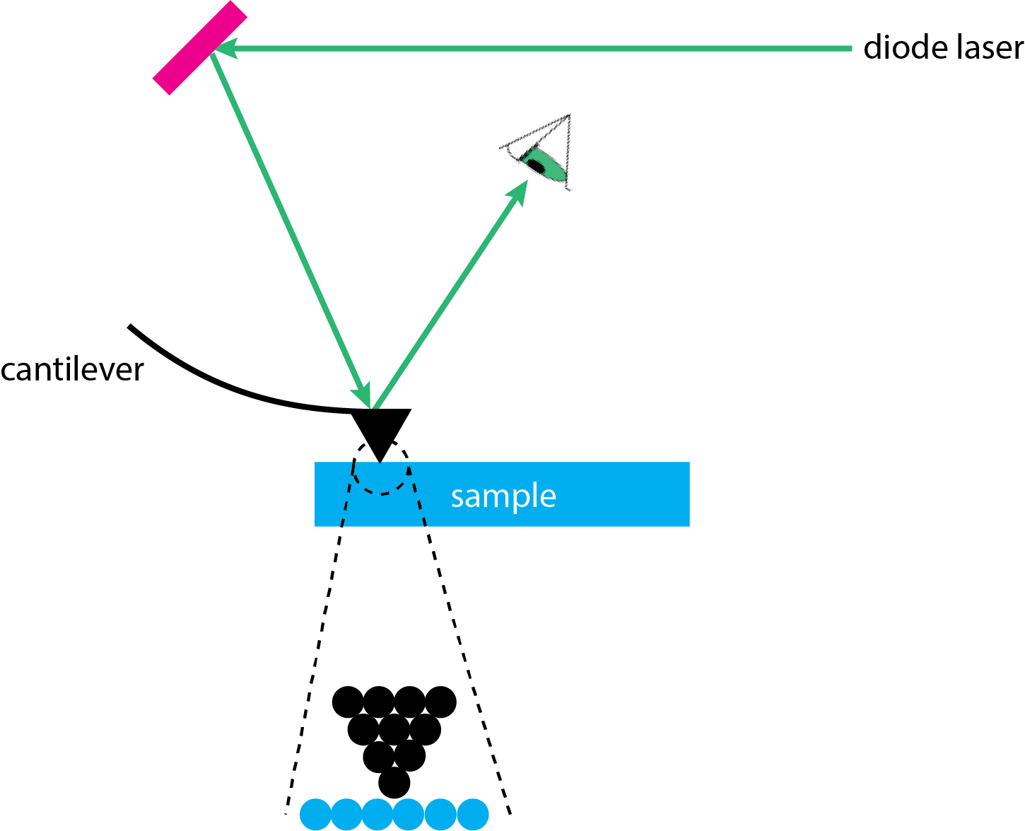 La figura de la izquierda ilustra cómo se monitorea la posición del voladizo y la punta de la sonda en microscopía de fuerza atómica. La foto de la derecha muestra una imagen SEM de un típico voladizo y punta de sonda.