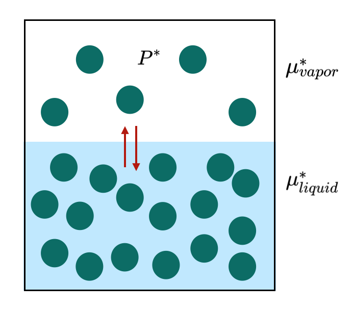 Figure1.7B.png