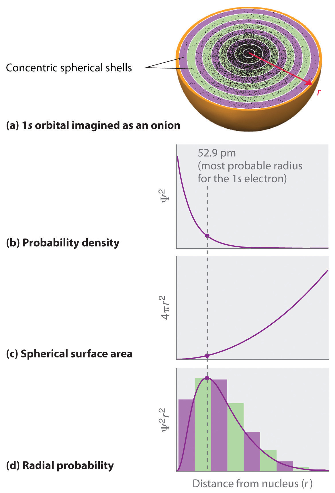 a) 1 s orbital imagined as an onion. b) probability density. c) spherical surface area. d) radial probability. 