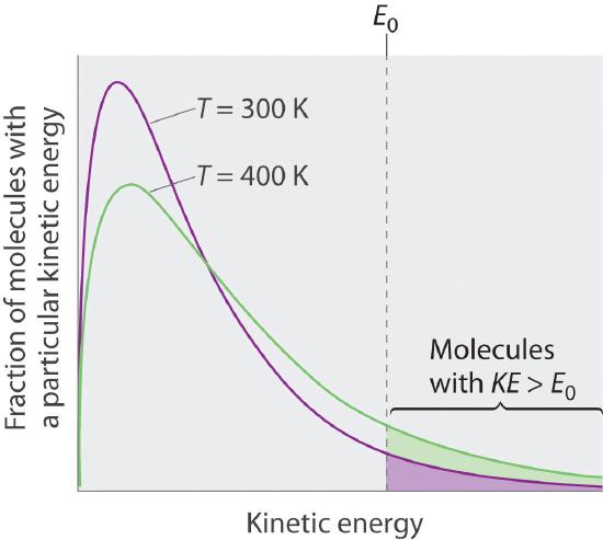 Graph of kinetic energy versus fraction of molecules with a particular kinetic energy. Two curves are shown, one for temperature 300 K and another for temperature 400 K.
