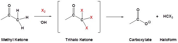 Figure 10.jpg