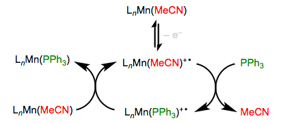 Oxidation accelerates substitution in electron-rich complexes, through a chain process.