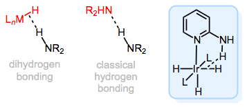 Dihydrogen bonding in metal hydrides: a sort of "interrupted protonation" of M–H.