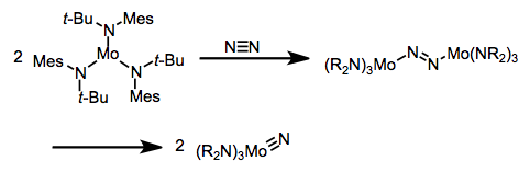 La activación de dinitrógeno por molibdeno, un nitrógeno puente “extremo” (no mostrado) se propone como intermedio en este mecanismo.