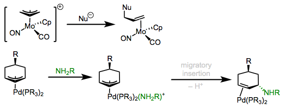 External and internal attack of nucleophiles on coordinated allyl ligands.