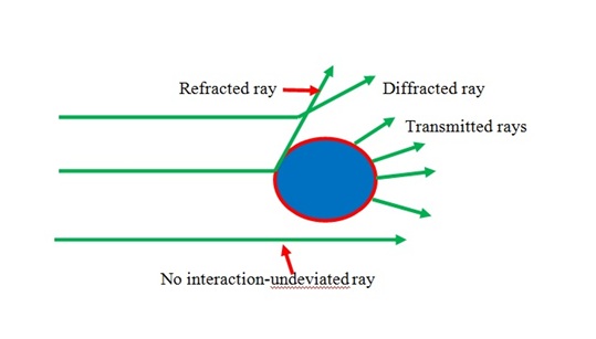 Modes of scattering of light in solution.