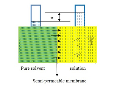 Schematic representative of membrane osmometry