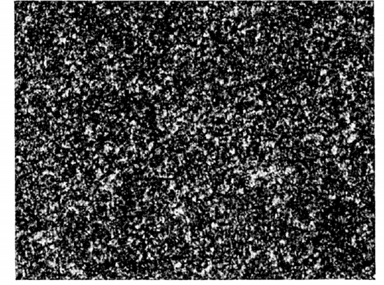 Typical speckle pattern. A photograph of an objective speckle pattern.