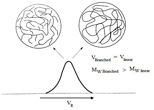 SEC elution of linear and branched samples of similar hydrodynamic volumes, but different molecular weights