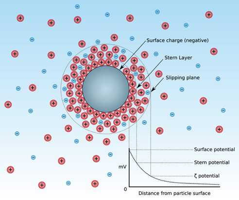 Schematic representation of the ionic concentration and potential difference as a function of distance from the charged surface of a particle suspended in a dispersion medium.