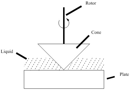 A cone is spun by a rotor in a liquid paste along a plate. The response of the rotation of the cone is measured, thereby determining viscosity.