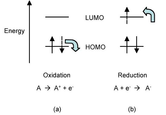Diagram showing energy level and light harvesting of organic solar cell