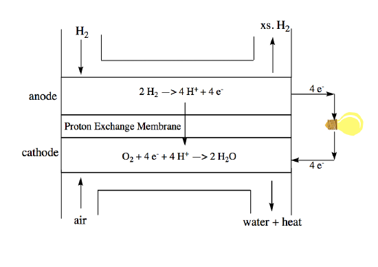Schematic of a proton exchange membrane fuel cell