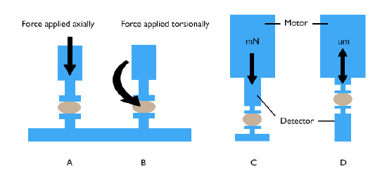 Types of DMA. (a) Axially applied stress. (b) Torsionally applied stress. (c) Stress-controlled analyzer uses set movements. (d) Deformation is regulated in strain-controlled analyzers.
