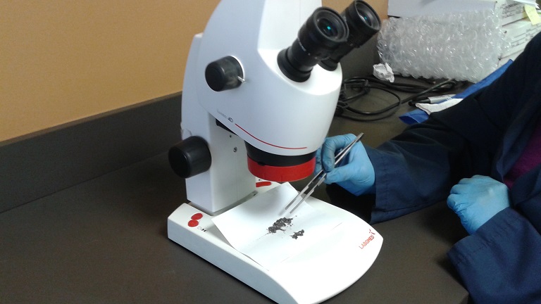 Se utiliza un microscopio óptico para 'recoger' la muestra. La muestra se está separando de acuerdo con la litología dominante en preparación para el análisis químico.
