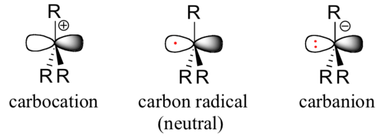 Carbocation with empty p orbital. neutral carbon radical with one electron in the p orbital. carbanion has one lone pair in the p orbital.